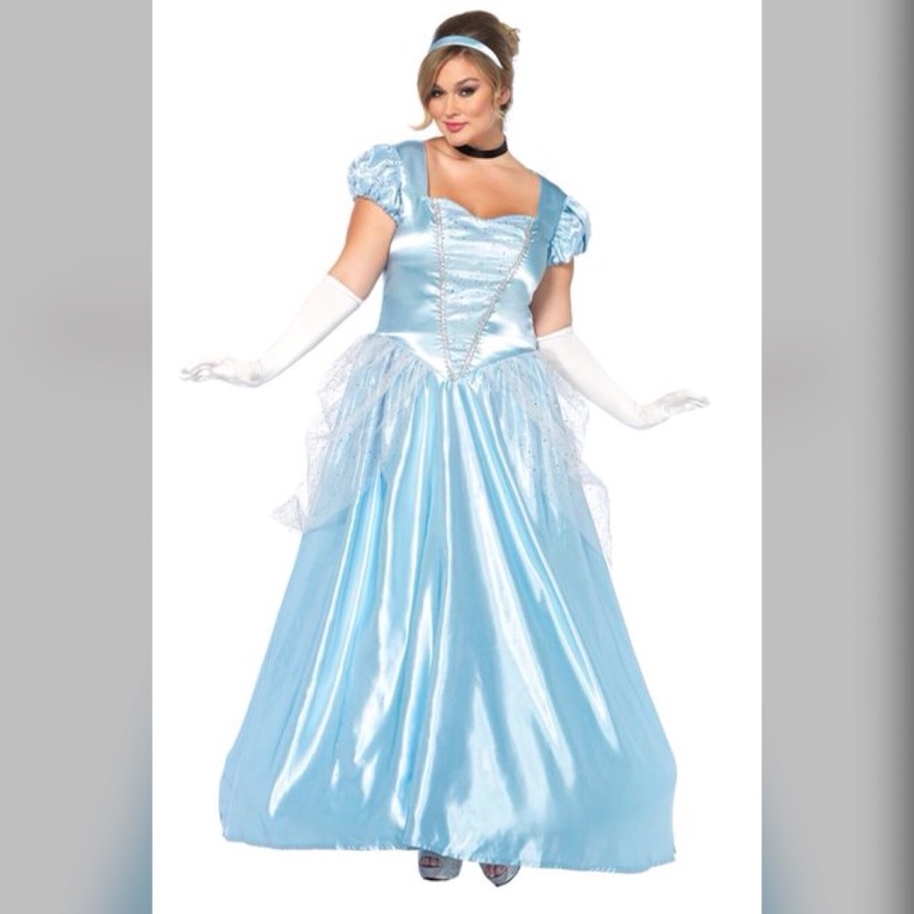 HOLD Plus Size Princess Cinderella Costume